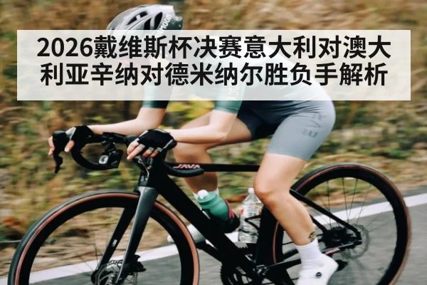 2026戴维斯杯决赛意大利对澳大利亚辛纳对德米纳尔胜负手解析 - kaiyun